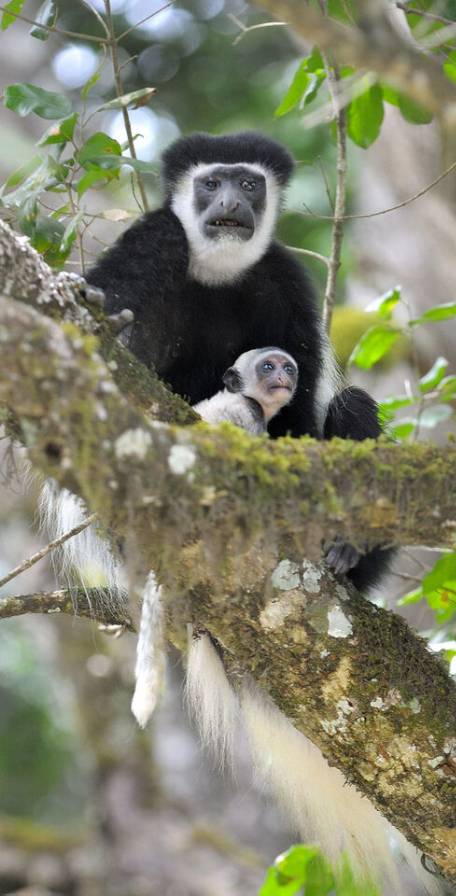 Arusha National Park Arusha National Park