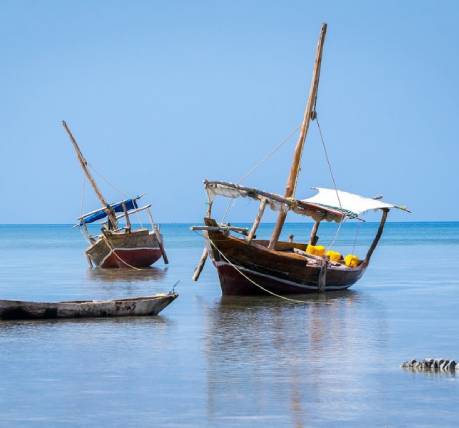 Swimming with Dolphins - Relax on the beach Tailor-made honeymoon Tanzania