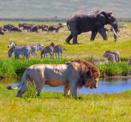 Tailor-made honeymoon Tanzania Tailor-made honeymoon Tanzania