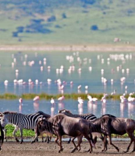 Serengeti National Park Serengeti National Park