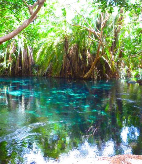 Day 5: Hot Springs Our wedding in Tanzania