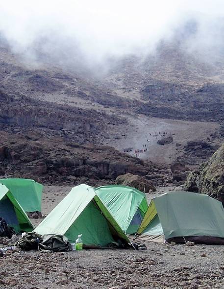 Zanzibar Jozani Forest Tour Zanzibar Jozani Forest Tour
