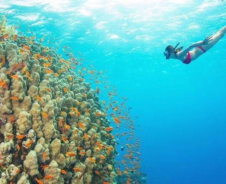 Zanzibar Diving Tour Zanzibar Diving Tour